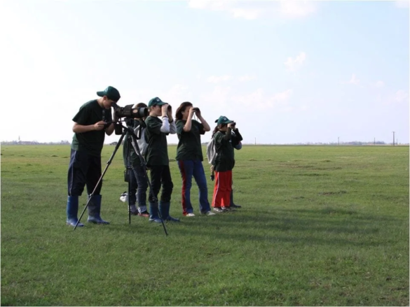 Tabara Ranger Junior jpg