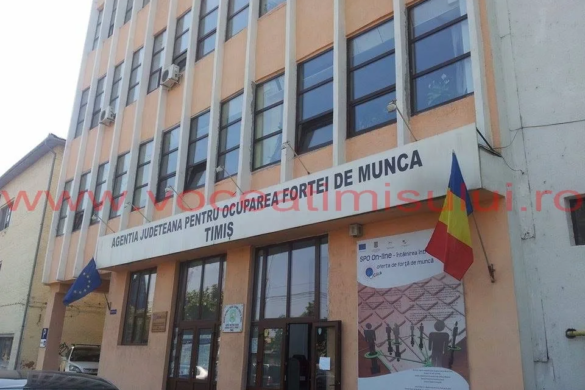 Normalitate! Refuzul unui loc de munca duce la PIERDEREA ajutorului social, in judetul Timis