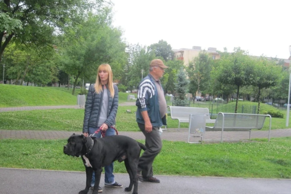 Aveți un animal de companie? Ce trebuie să faceți ca să nu plătiți amenzi de minim 800 de lei !