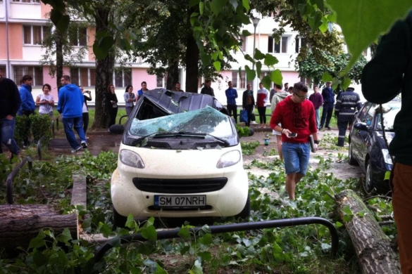 DEZASTRU între căminele studenţeşti, de 1 iunie! Un copac s-a PRĂBUŞIT peste trei maşini parcate FOTO