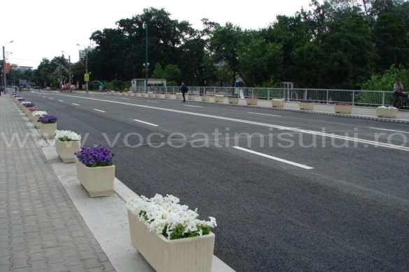 Poliția Locală, însărcinată de primar să păzească florile de pe Podul Michelangelo