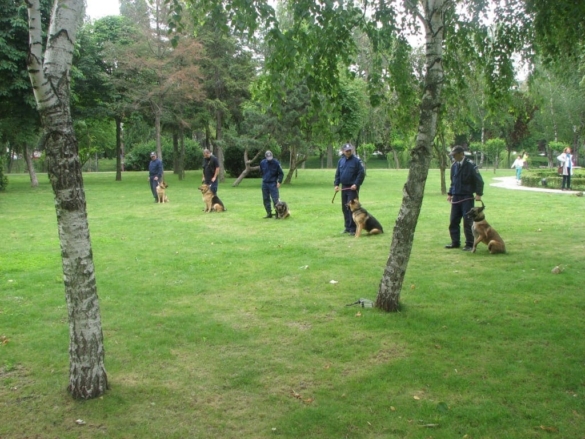 poze 1 iunie 2014 043 poze 1 iunie 2014 043