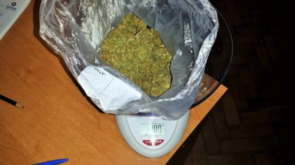 traficanţi de cannabis din Timişoara2 jpg traficanţi de cannabis din Timişoara2 jpg