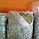 traficanţi de cannabis din Timişoara#5