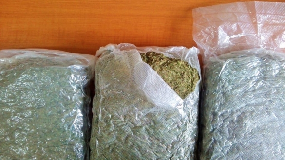 traficanţi de cannabis din Timişoara5 traficanţi de cannabis din Timişoara5