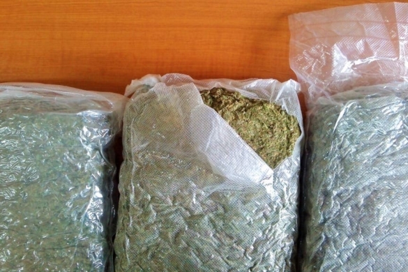 După un an de cercetări, „mascaţii” au dat buzna peste traficanţii de cannabis din Timişoara FOTO+VIDEO