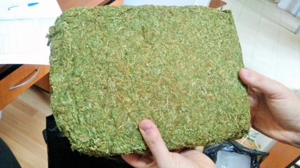 traficanţi de cannabis din Timişoara6 jpg traficanţi de cannabis din Timişoara6 jpg