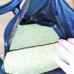 traficanţi-de-cannabis-din-Timişoara7