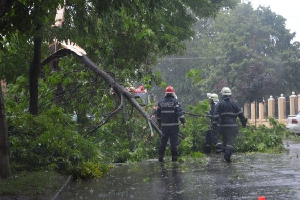 Copaci rupţi şi pompieri „în priză”. Vezi ce bilanţ au salvatorii după furtuna de azi din Timiş FOTO