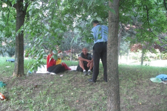 Gălăgia și câinii fără stăpân – problemele semnalate Poliției Locale de timișorenii din cartierele Giroc, Dâmbovița și Steaua