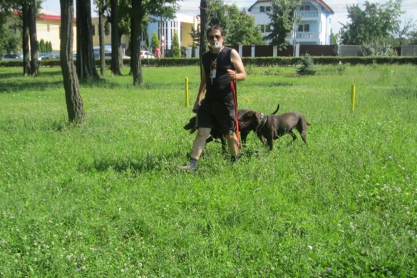 Parcul Pădurice, controlat de polițiștii locali timișoreni. Locuitorii se plâng de câinii plimbați fără lesă și de NESIMȚIREA stăpânilor!