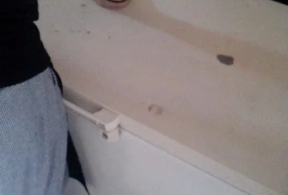 Jandarmii au rămas înmărmuriți când au văzut cu ce-au furat trei hoți o combină frigorifică. Vezi ce a făcut proprietarul
