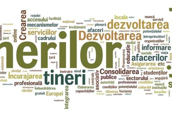 Timișoara are Institut pentru Dezvoltarea Tinerilor. Ce planuri are acesta