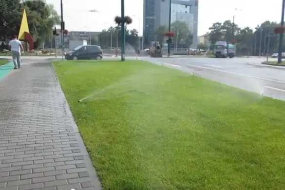 Pe caniculă, DUȘURI obligatorii pentru pietonii unei străzi din Timișoara. Nici mașinile nu scapă VIDEO
