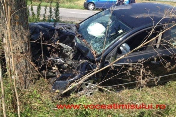 Un țigan mut de BEAT și FĂRĂ PERMIS de conducere s-a ”înfipt” cu mașina într-un copac, lângă Lovrin FOTO