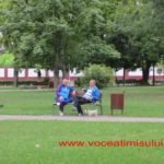 caini in parc