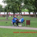 caini in parc 2