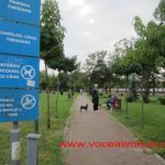 caini in parc 5