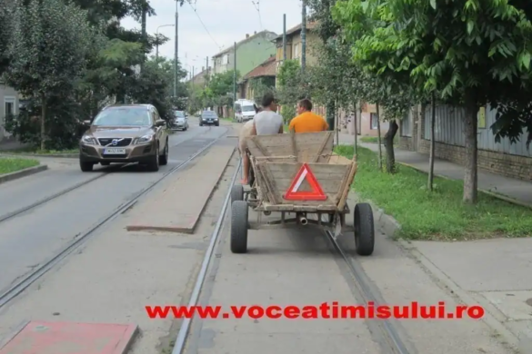Imaginea ZILEI! La Timișoara s-au reabilitate tramvaiele… cu CAI!