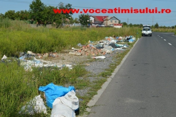 Vrem de toate, numai civilizație NU! Timișoreni care își fac ”gropi de gunoi” pe unde-i taie capul! FOTO