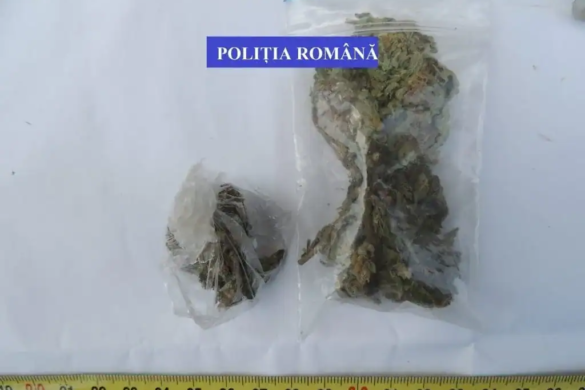 Francezi ARESTAȚI de polițiștii din TIMIȘOARA, după ce au vândut droguri la festivalul de muzică electronică SunWaves