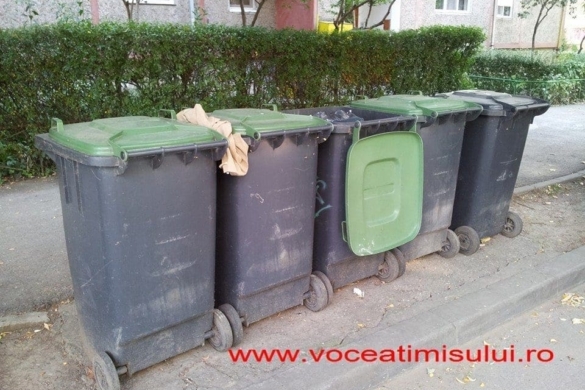 Timisorenii care nu colecteaza selectiv deseurile, AMENDATI drastic!