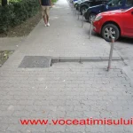 trotuar ripensia 12 jpg