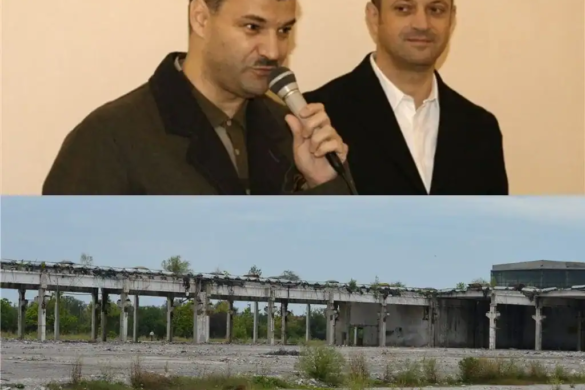 Frații Cristescu se mai pregătesc de un tun? Primăria Timișoara îi ajută, pe cât posibil FOTO/VIDEO