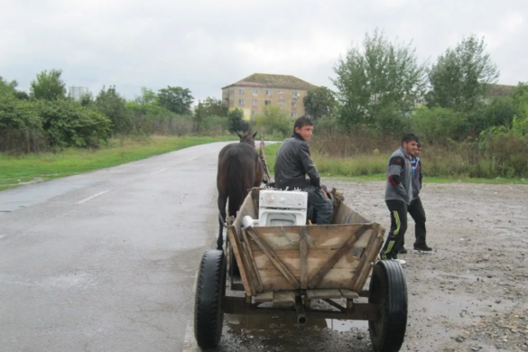 Timişorean ambiţios: a insistat să se plimbe ilegal cu căruţa, aşa că a primit DOUĂ amenzi, în aceeaşi zi