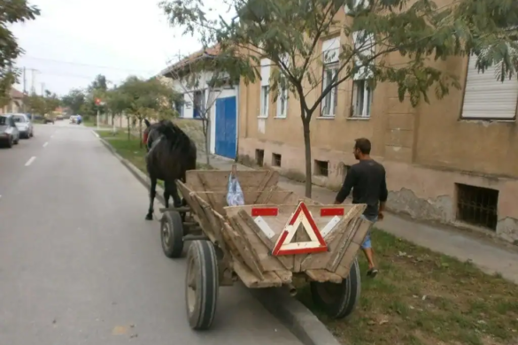Căruțele se inmulțesc! Poliția Locală ia măsuri împotriva căruțașilor care au ÎMPÂNZIT Timișoara! FOTO