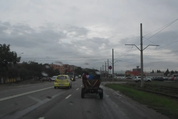 Căruțe, căruțe și iar căruțe! Polițiștii locali au ajuns la exasperare din cauza căruțelor, la Timișoara FOTO