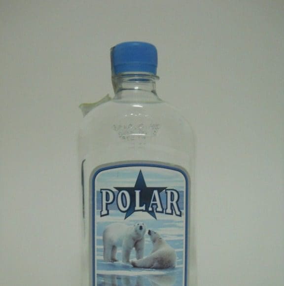 polar