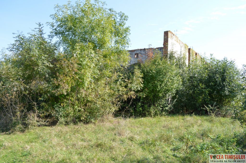 Căminul-Cultural-din-Stamora-Română01