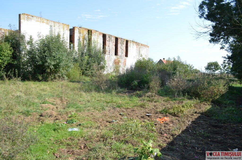 Căminul-Cultural-din-Stamora-Română04