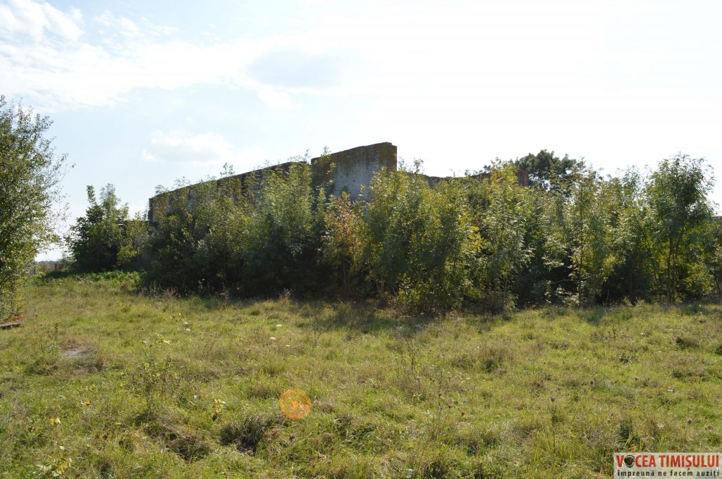 Căminul-Cultural-din-Stamora-Română09