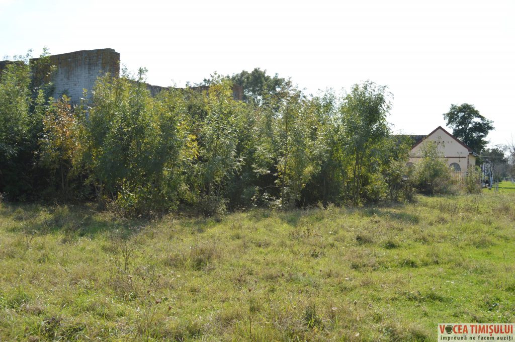 Căminul-Cultural-din-Stamora-Română11