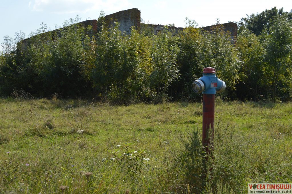 Căminul-Cultural-din-Stamora-Română13