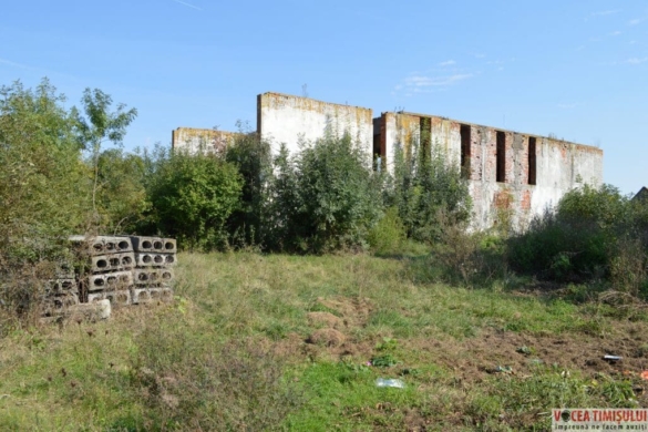 Căminul Cultural din Stamora Română ”suge” zeci de mii de euro din bugetul comunei, deși NU EXISTĂ! FOTO/VIDEO