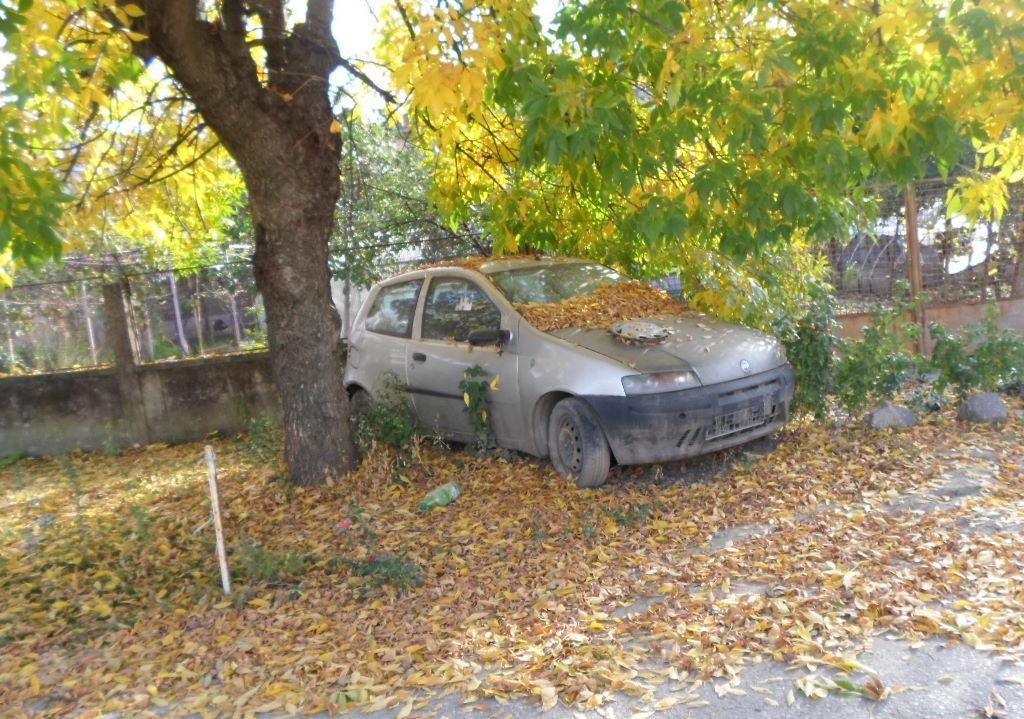 abandonate5 abandonate5
