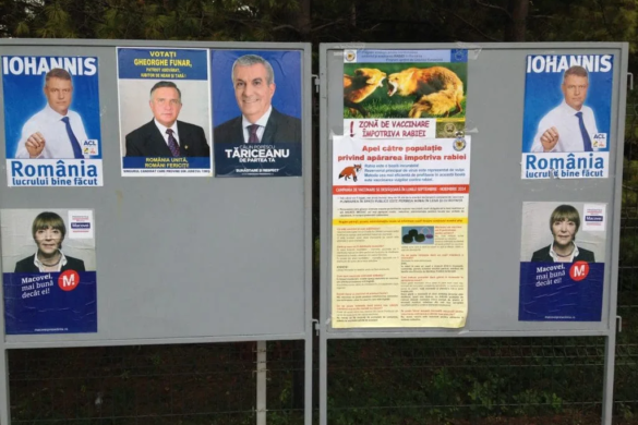 Timișorenii, invitați de afișierele electorale să se „vaccineze” împotriva rabiei… politice