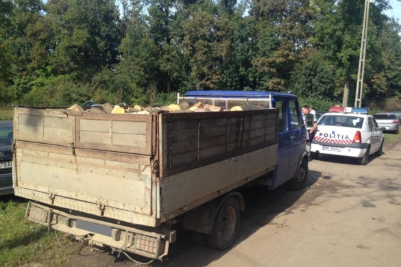 Bărbat de 67 de ani prins cu o CAMIONETĂ întreagă de lemne, fără acte, la Timișoara