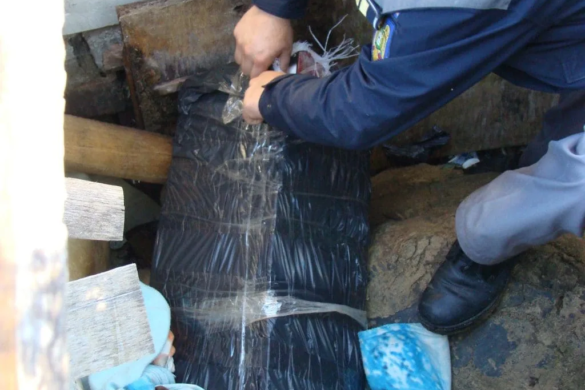 Percheziţii la contrabandiștii de țigări, la marginea județului Timiș. Ce au descoperit polițiștii de frontieră FOTO/VIDEO
