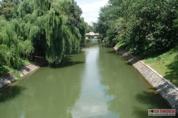 COD PORTOCALIU de inundații în județul Timiș. Ce ape se pot revărsa din nou