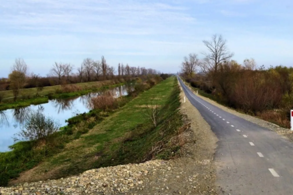 Pista de cicloturism de pe Bega a intrat pe ultima sută de metri. Vezi cât e AMENDA pentru șoferii care urcă pe pistă