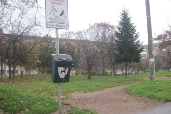 Polițiștii locali au ”de furcă” cu boschetarii, la Timișoara. În ce zone s-a semnalat disconfort creat de prezența oamenilor străzii