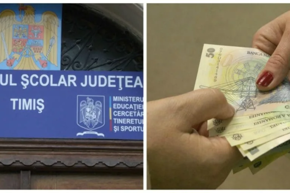 Pomană electorală pentru profesorii din Timiș. Cum vrea Ministerul Educației să atragă voturi și, în același timp să bage bani europeni în ”buzunarele” PSD