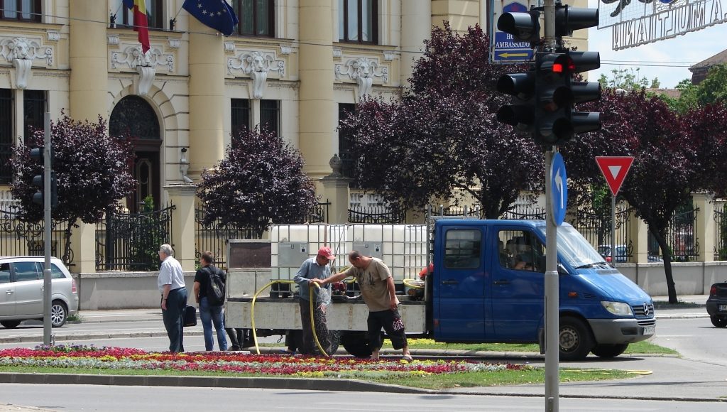 horticultura-muncitorii-stropesc-florile-munca-in-folosul-comunitatii