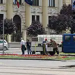 horticultura muncitorii stropesc florile munca in folosul comunitatii jpg