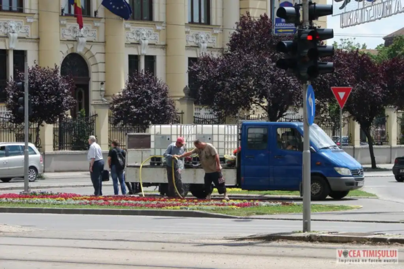 Parcul Clăbucet și spațiile verzi din Timișoara, subiect de ”harță” în Consiliul Local. De ce s-au contrat pedelistul Moșiu și primarul VIDEO