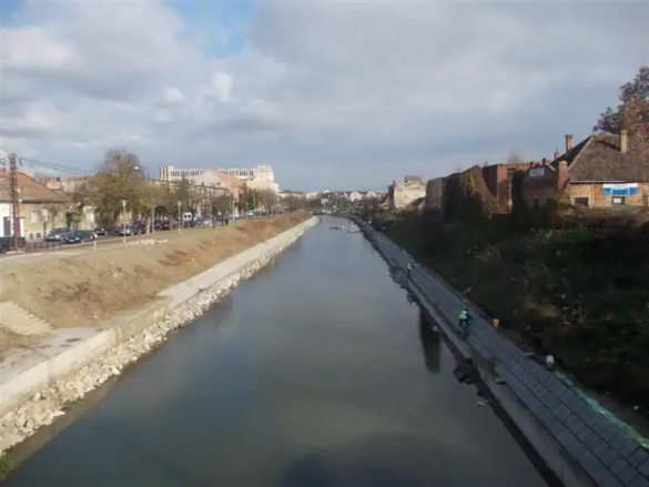 tronson piata Badea Cartan Medium jpg tronson piata Badea Cartan Medium jpg